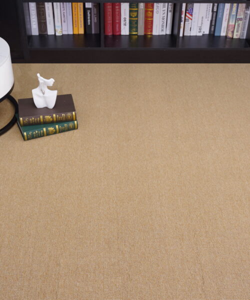 Thảm văn phòng Roll Carpet - C12