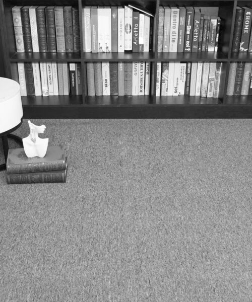 Thảm văn phòng Roll Carpet - C20
